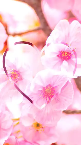 Play Flower Wallpapers HD Floral and enjoy Flower Wallpapers HD Floral with UptoPlay Play Flower Wallpapers HD Floral and enjoy Flower Wallpapers HD Floral with UptoPlay