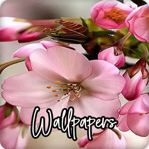 Play Flower Wallpapers HD APK Play Flower Wallpapers HD APK