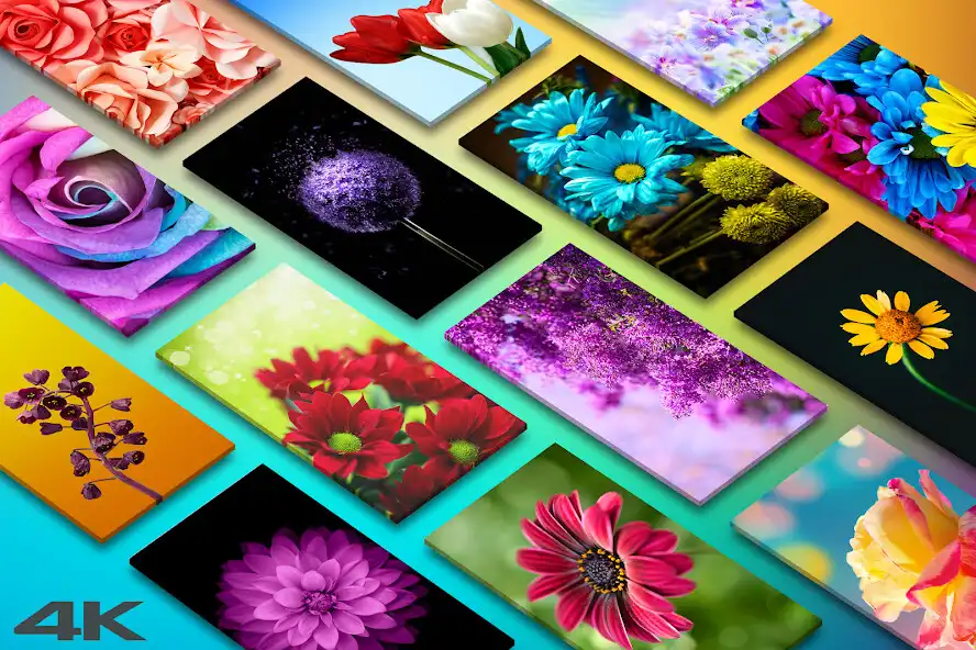 Play Flower Wallpapers in HD, 4K  and enjoy Flower Wallpapers in HD, 4K with UptoPlay