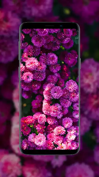 Play Flower Wallpapers in HD, 4K as an online game Flower Wallpapers in HD, 4K with UptoPlay