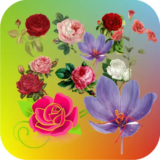 Play Flower Wallpapers In HD APK Play Flower Wallpapers In HD APK