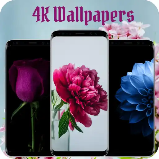 Play Flower Wallpapers - Latest 4k APK Play Flower Wallpapers - Latest 4k APK