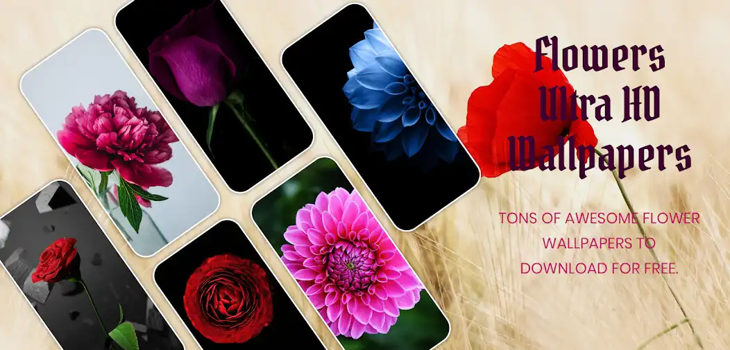 Play Flower Wallpapers - Latest 4k   and enjoy Flower Wallpapers - Latest 4k  with UptoPlay