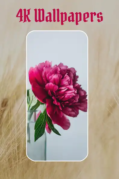 Play Flower Wallpapers - Latest 4k  as an online game Flower Wallpapers - Latest 4k  with UptoPlay