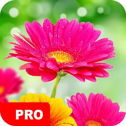 Play Flower Wallpapers PRO APK Play Flower Wallpapers PRO APK