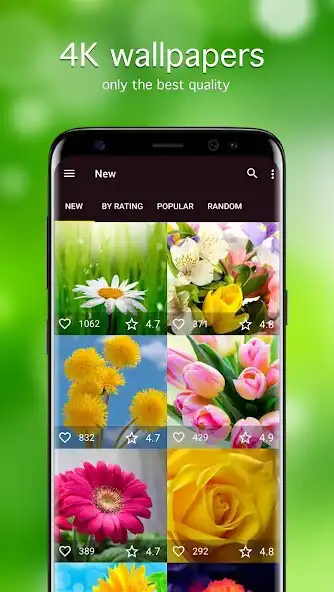 Play Flower Wallpapers PRO  and enjoy Flower Wallpapers PRO with UptoPlay