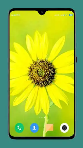 Play Flower Wallpaper Ultra HD 4K  and enjoy Flower Wallpaper Ultra HD 4K with UptoPlay