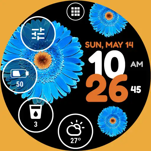 Play Flower Watch Face by HuskyDEV APK