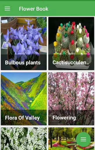 Play Flower World