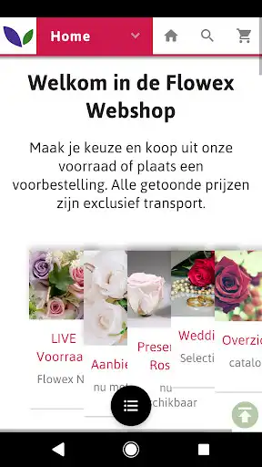 Play Flowex Play Flowex