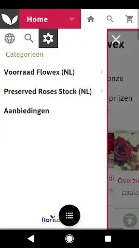 Play Flowex Play Flowex