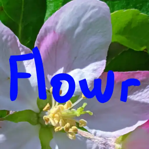 Play Flowr - Natural Wallpapers APK