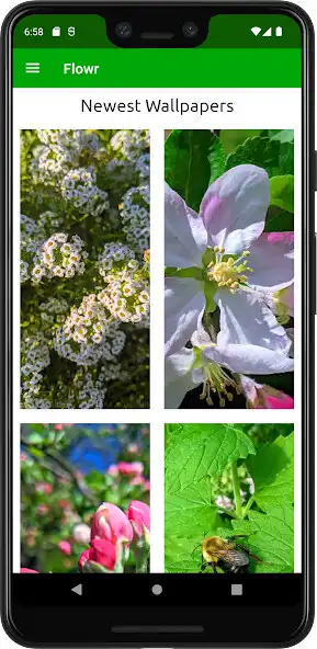 Play Flowr - Natural Wallpapers as an online game Flowr - Natural Wallpapers with UptoPlay