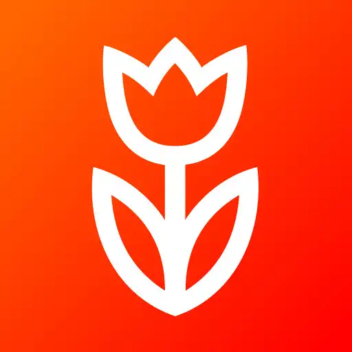 Play Flowwow – Reliable delivery APK Play Flowwow – Reliable delivery APK
