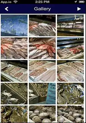 Play FLSeafood@YourFingertips