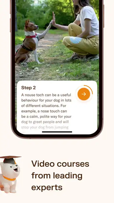 Play Fluffy: Dog Training  Health as an online game Fluffy: Dog Training  Health with UptoPlay