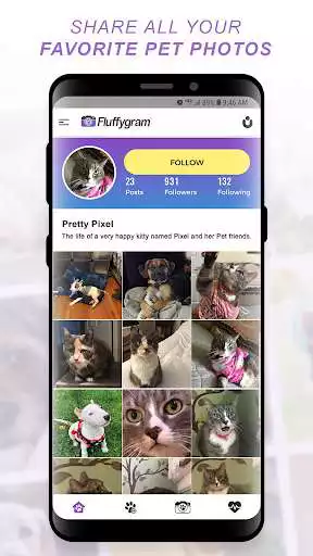 Play Fluffygram - All Pets, All The Time  and enjoy Fluffygram - All Pets, All The Time with UptoPlay