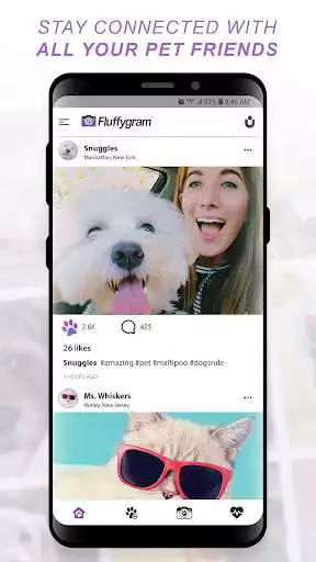 Play Fluffygram - All Pets, All The Time as an online game Fluffygram - All Pets, All The Time with UptoPlay