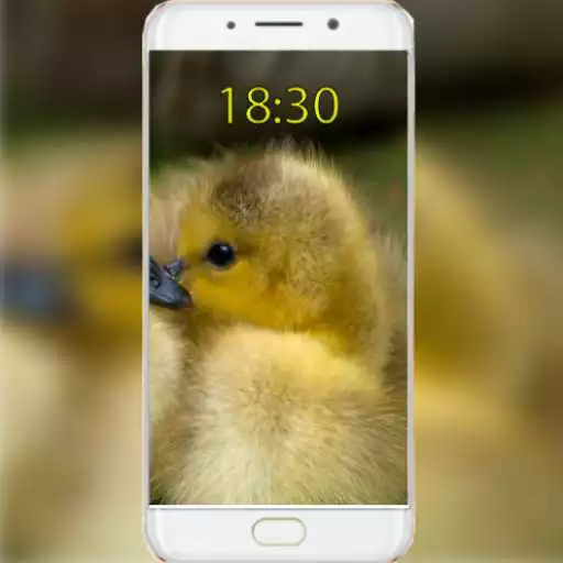 Play Fluffy Wallpapers APK Play Fluffy Wallpapers APK