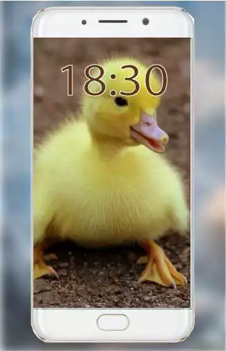 Play Fluffy Wallpapers  and enjoy Fluffy Wallpapers with UptoPlay