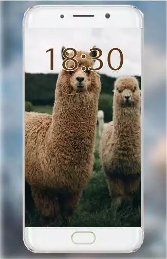 Play Fluffy Wallpapers as an online game Fluffy Wallpapers with UptoPlay