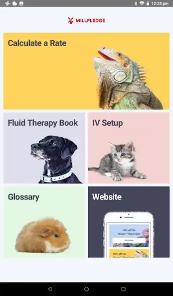Play Fluid Therapy Calculator as an online game Fluid Therapy Calculator with UptoPlay