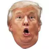 Free play online Fluppy Trumpie APK