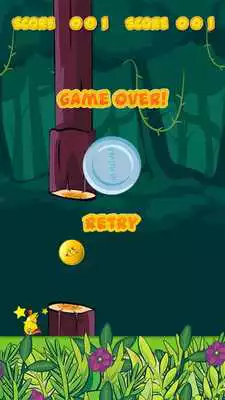 Play Flutter Tweet
