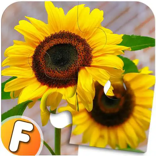 Play Fluzzles - Puzzle Game for Android APK