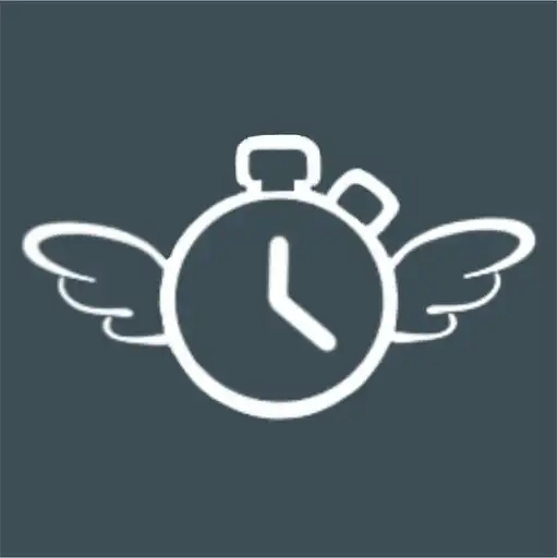 Play Flyback Timer APK