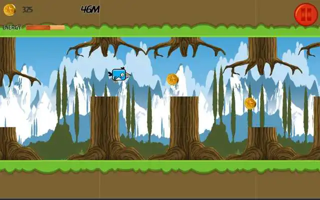 Play Fly Birdy