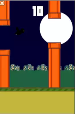 Play Fly Black Bird