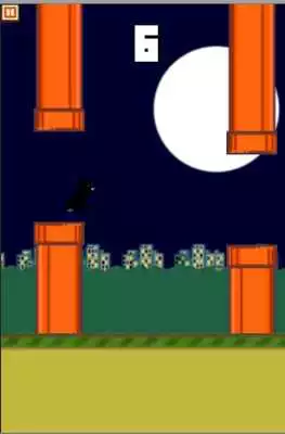 Play Fly Black Bird