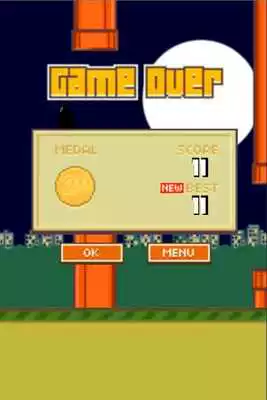 Play Fly Black Bird