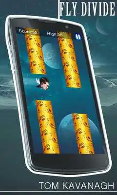 Play Fly Divide