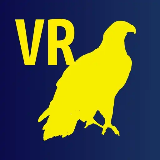 Play Fly Eagle VR APK