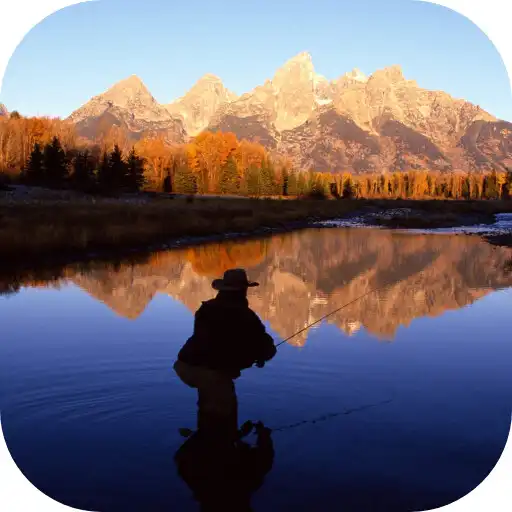 Play Fly Fishing Live Wallpaper APK Play Fly Fishing Live Wallpaper APK