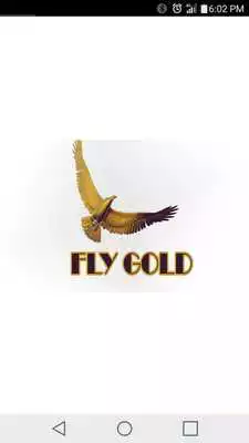 Play Fly Gold
