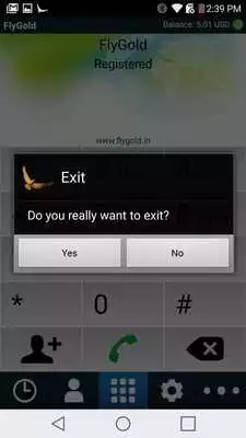 Play Fly Gold