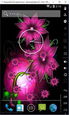 Play Fly high resolution