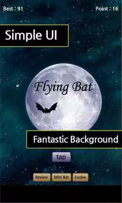 Play Flying Bat