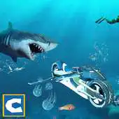 Free play online FLYING BIKE VS HUNGRY SHARK APK Free play online FLYING BIKE VS HUNGRY SHARK APK