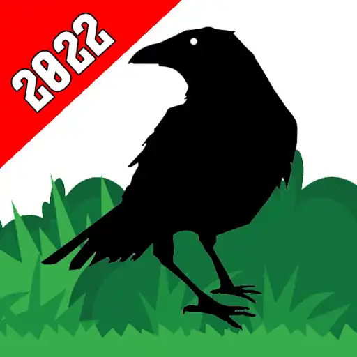 Play Flying Bird Classic 2022 APK