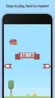 Play Flying Bird: Dont fall!