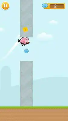 Play Flying Bird