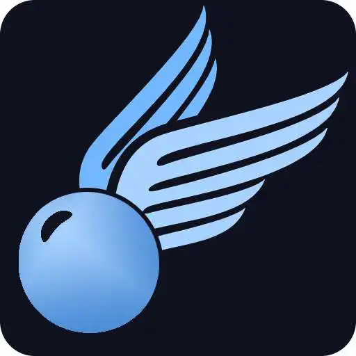 Play Flying Catcher APK