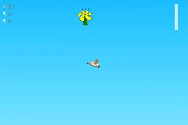 Play Flying chicken
