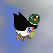 Free play online flyingDuck APK Free play online flyingDuck APK