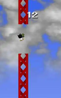 Play flyingDuck