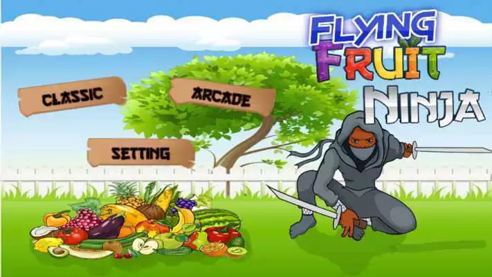 Play Flying Fruit Ninja